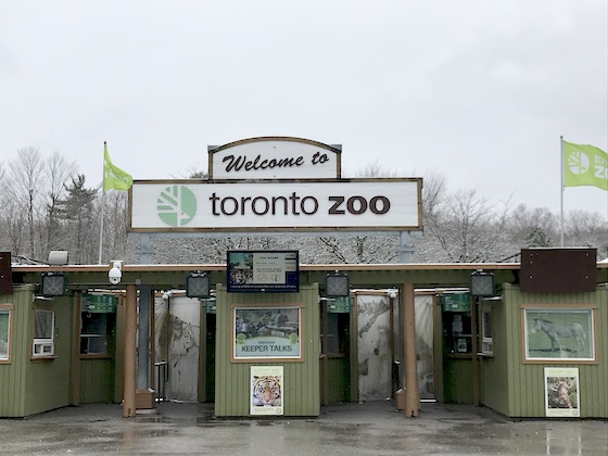 おすすめトロント観光 TORONTO ZOO！真冬の動物園は幻想的！